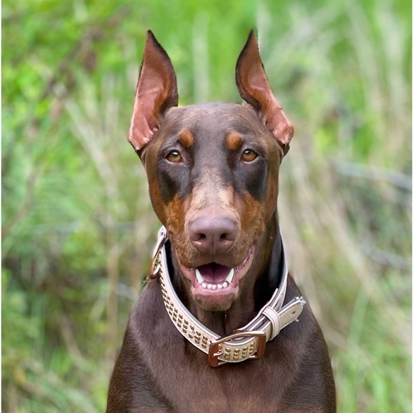 Meet your Posher, Gaye Price - Picture 8 of 11